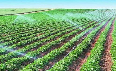 免费搞B农田高 效节水灌溉